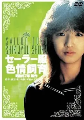 海岬的夏天剧场版动漫免费看